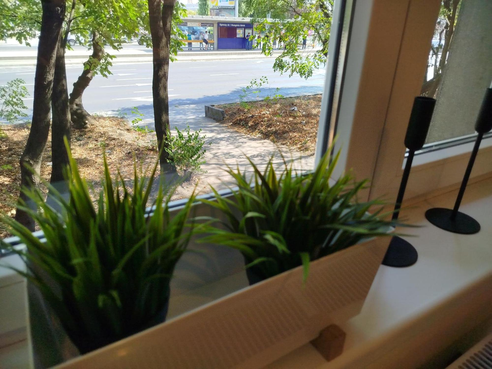 Lady Mabel's Near To Arena, Puskas Stadion And Park, With Guarded Parking Place Apartman Budapest
