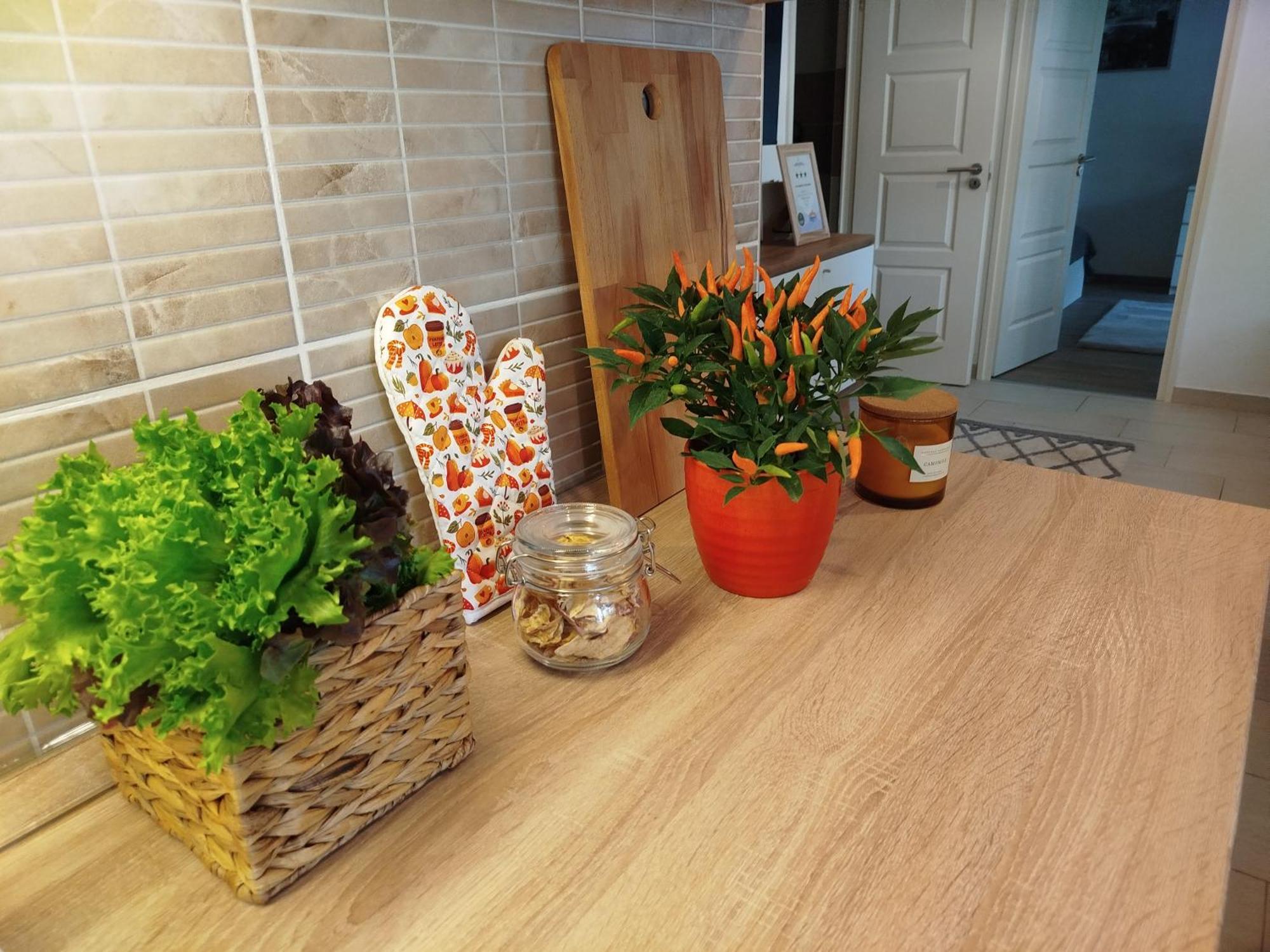 Apartman Lady Mabel's Near To Arena, Puskas Stadion And Park, With Guarded Parking Place Budapest